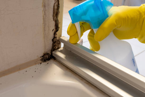 Best Bathroom Mold Remediation in Miami, OK